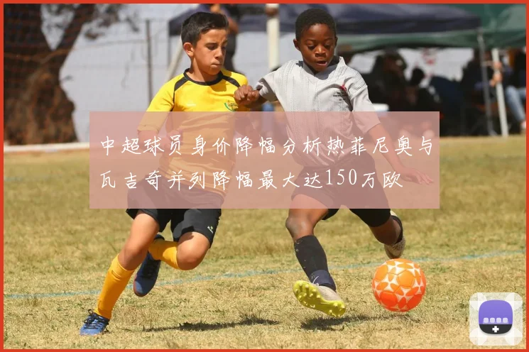 中超球员身价降幅分析热菲尼奥与瓦吉奇并列降幅最大达150万欧